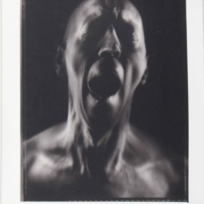 Sale Photo Thumbnail #166: William Ropp, French 1960-, Untitled, Gelatin Silver Print, Selenium Toned