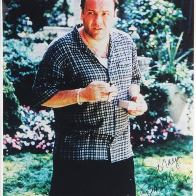 Artist Unknown, Autographed James Gandolfini, Archival Pigment Photograph