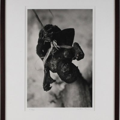 Valdir Cruz, Brazilian 1954-, Cooked Monkey, Gelatin Silver Print, Selenium Toned