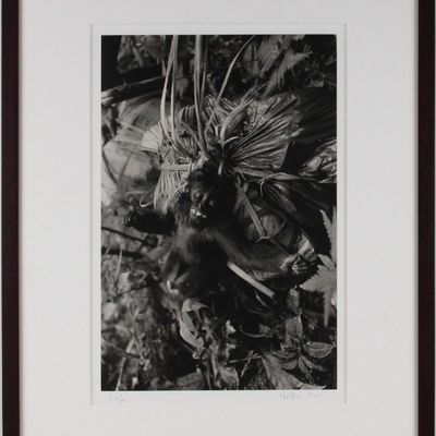 Sale Photo Thumbnail #139: Valdir Cruz, Brazilian 1954-, Monkey Study near Irokai-Teri, Venezuela, 1996, Gelatin Silver Print,