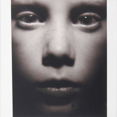 Sale Photo Thumbnail #161: William Ropp, French 1960-, Untitled, Gelatin Silver Print, Selenium Toned