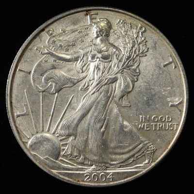 Sale Photo Thumbnail #378: 2004 AMERICAN SILVER EAGLE