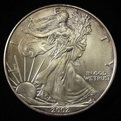 Sale Photo Thumbnail #376: 2002 AMERICAN SILVER EAGLE