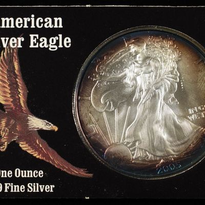 2005 AMERICAN SILVER EAGLE