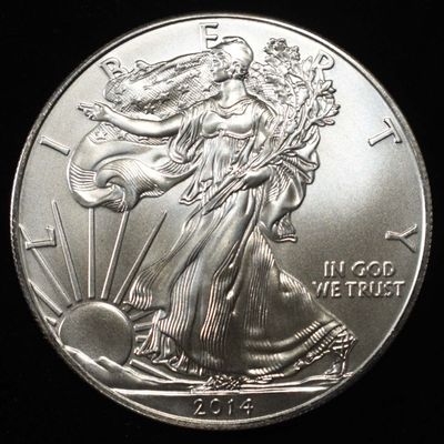2014 AMERICAN SILVER EGALE