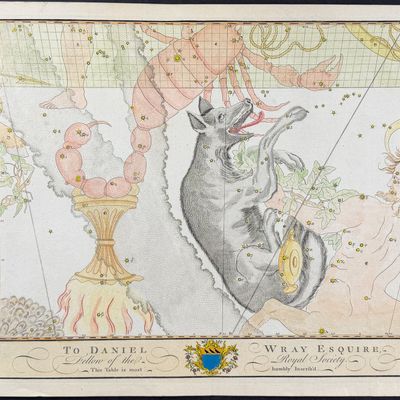 Bevis, Rare - Constellation or Star Chart of Lupus (Wolf)