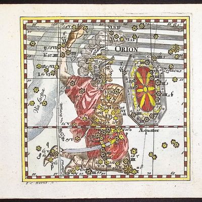Thomas - Constellation or Celestial Chart of Orion