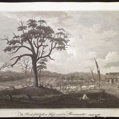 Collins, Australia - Australia (New Holland): The Brick-field-hill, or High Road to Paramatta