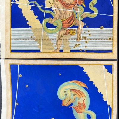 Bayer - Pair of Constellation or Star Charts of Ophiuchus (Serpent Bearer) & Delphinus (Dolphin)