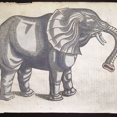 Pare, pub. 1664 - Elephant