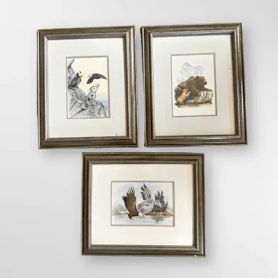 Sue Coleman Pacific Northwest Coast Style Interpretive Art Prints, 3-Piece