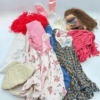 Costume and Accessories Dresses, Wigs, Mask, and Bunny Ears
