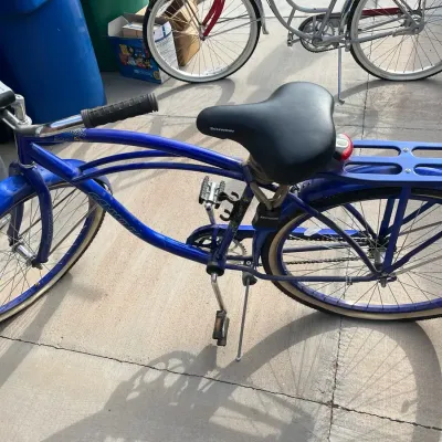 Schwinn Delmar Men’s Cruiser Bike
