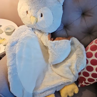 Jellycat Bashful Owl Soother