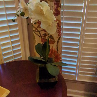 Artificial Phalaenopsis Orchid in Square Planter