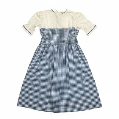 Vintage Dorothy Gale Costume Dress