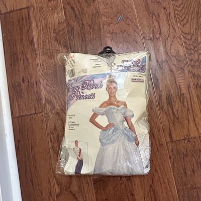 Story Book Princess Cinderella Adult Costume