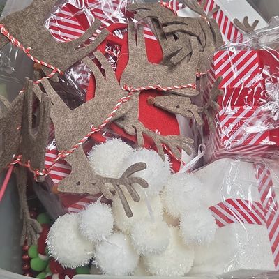 Assorted Christmas Craft and Ornament Lot