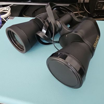 Simmons 10x50 Wide Angle Binoculars Model 24152