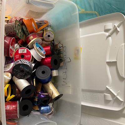 Assorted Craft Ribbon Collection in Storage Bin