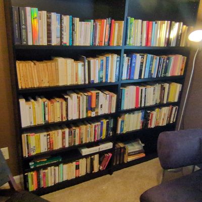 Contemporary Modular Bookcases with Assorted Literature