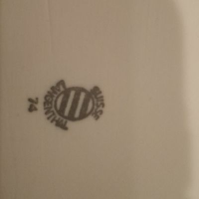 Langenthal Swiss Porcelain Rectangular Serving Platter