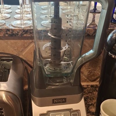 Ninja Professional 1100 Watts Blender