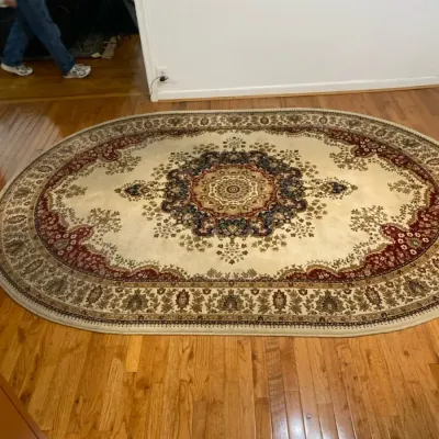 Ivory And Scarlet Medallion Area Rug 9’6” X 6’7”