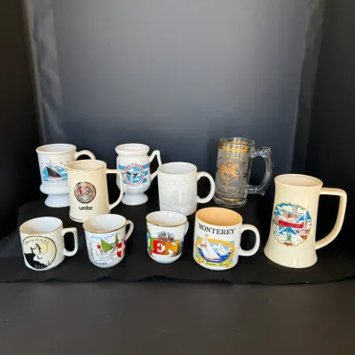 Travel Souvenir Mug Lot- 10 Mugs! 