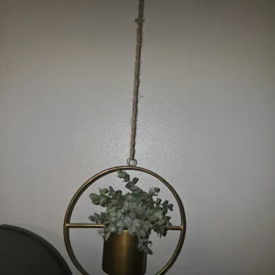 Sale Photo Thumbnail #203: A contemporary style hanging wall or ceiling planter featuring a circular gold-toned metal frame, a matching cylindrical pot, and a faux green succulent plant. It hangs from a rustic jute rope. Good condition with no visible damage.