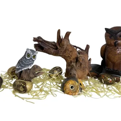 Owl Decor & More