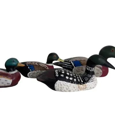 Duck And Loon Collection