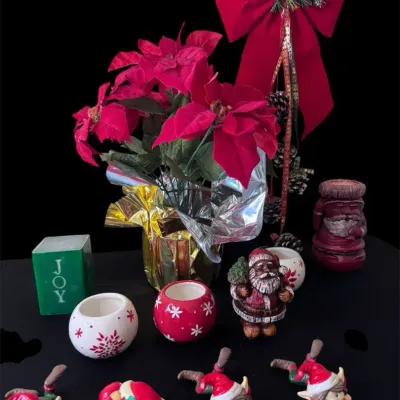 Christmas Decor Mystery Lot