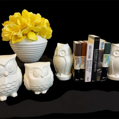White Ceramic Owls, Books & Flowers