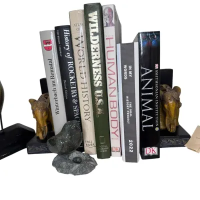 Incredible Bookshelf Lot