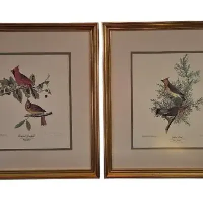 Framed Prints Audubon's Cedar Bird & Cardinal Grosbeak