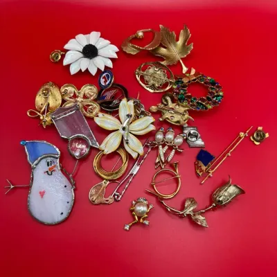 Assorted Brooches - Mystery Lot
