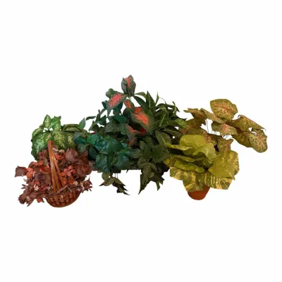 Collection Of Artificial Plants & Flowers