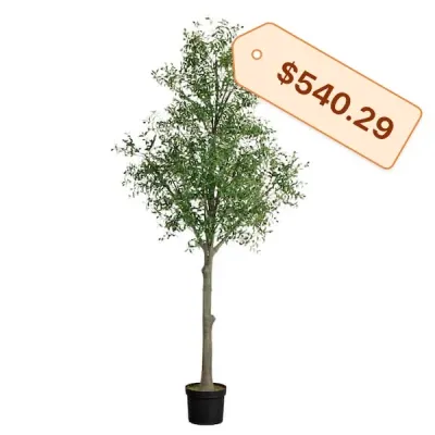 Sale Photo Thumbnail #1051