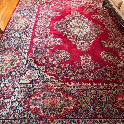 Large Oriental Center Medallion Area Rug 9’8 x13’