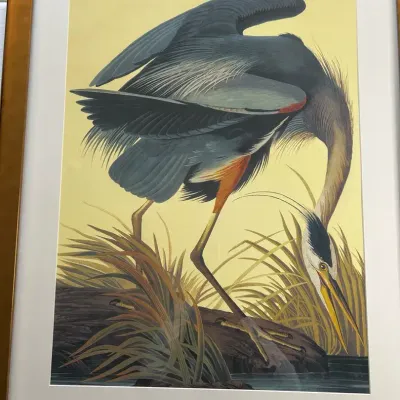 Great Blue Heron Painting