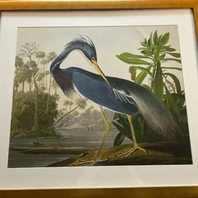 Framed reproduction of the classic "Louisiana Heron"