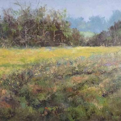 Sale Photo Thumbnail #135: Cindy Nixon 20x16 O/C "Spring Fields"