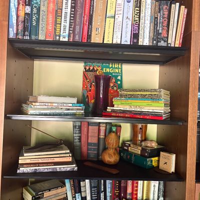 Wooden bookshelf filled with a diverse collection of fiction and non-fiction books, children's books, and decorative items including...