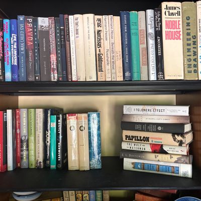 A collection of vintage and modern hardcover and paperback books, including fiction and non-fiction titles, arranged on wooden bookshelves.