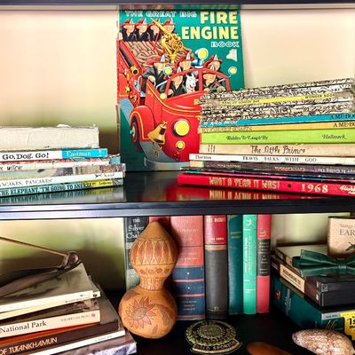 A collection of vintage children's books, including "The Great Big Fire Engine Book" and "Go, Dog. Go!",...
