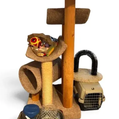 Cat Tree, Toys, & More 