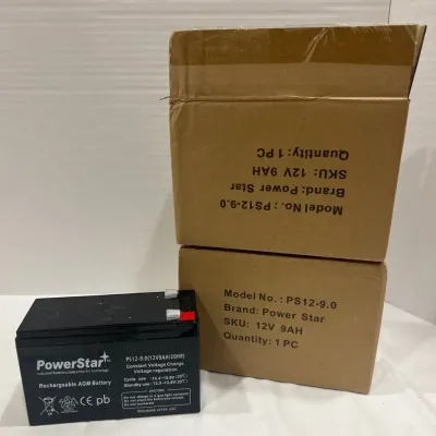 Power Star Replacement Batteries (2)