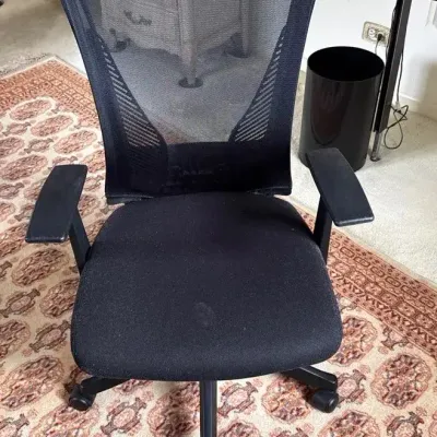 Ergonomic Office chair
