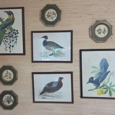  Ducks & Birds Artwork